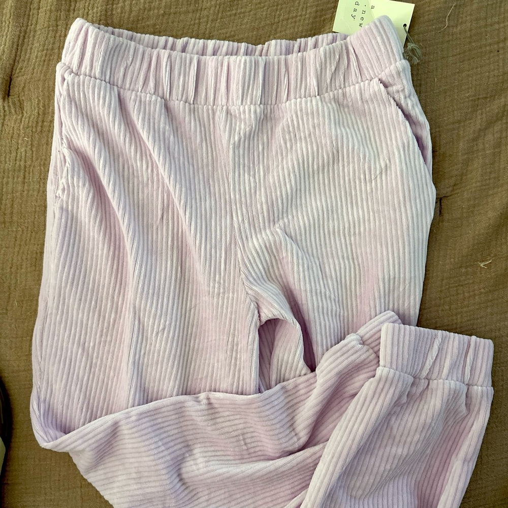 Light Purple Velvet Joggers